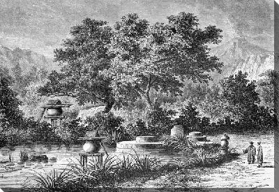 Постер Сад (Garden) №12