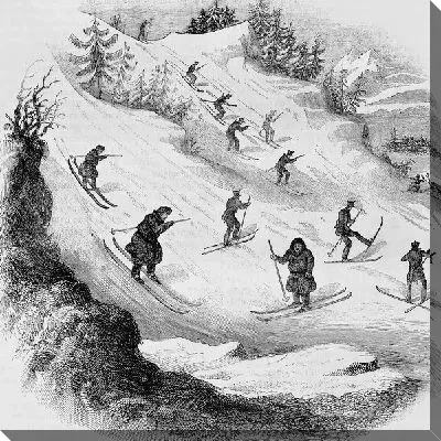 Люди катаются на лыжах (People skiing)