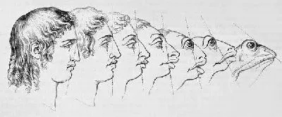 Плакат Метамарфозы (Metamarfozy)