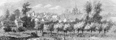 Плакат Фруктовый сад (Orchard)