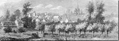 Постер Фруктовый сад (Orchard)