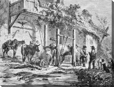 Постер Люди с домашним скотом (People with livestock)