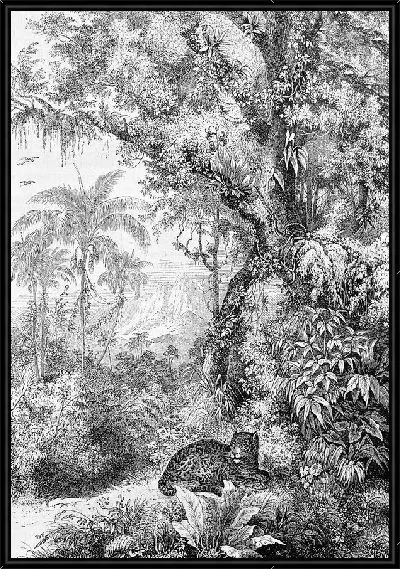 Картина Затаившийся ягуар (Hidden jaguar)