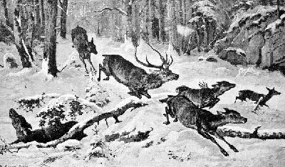 Плакат Охота на оленей (Deerstalking)