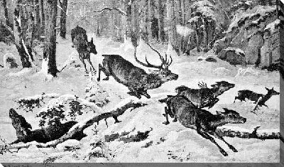 Постер Охота на оленей (Deerstalking)