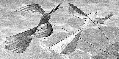 Плакат Воздушные змеи (Kites)