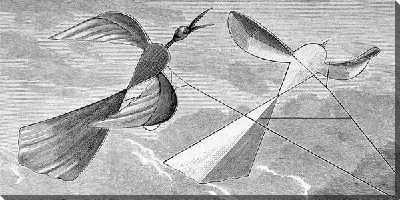 Постер Воздушные змеи (Kites)