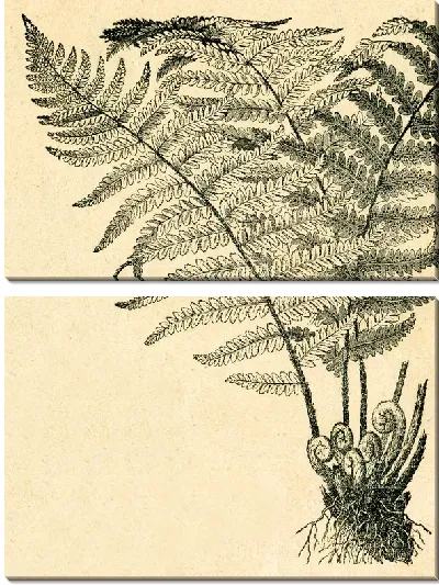 Модульная картина Растение (Plant) №4