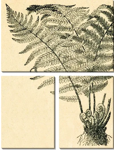 Модульная картина Растение (Plant) №4
