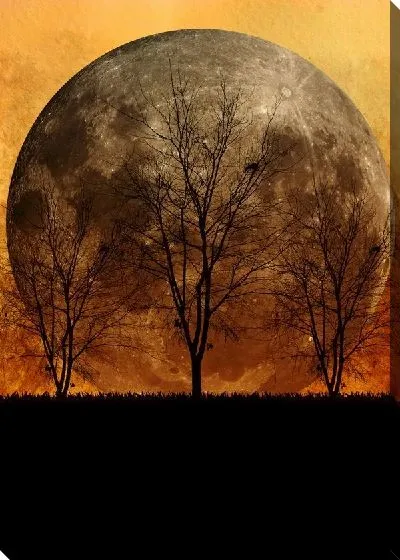 Постер Деревья на фоне луны (Trees on the background of the moon)