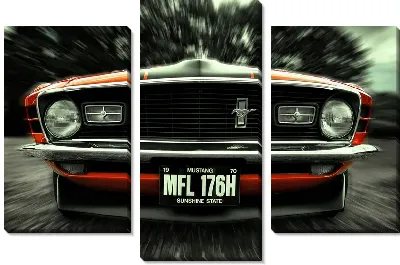 Модульная картина Мустанг фронт (Mustang front)