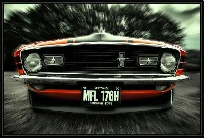 Картина Мустанг фронт (Mustang front)