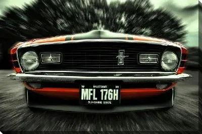 Постер Мустанг фронт (Mustang front)