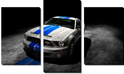 Модульная картина Мустанг (Mustang)