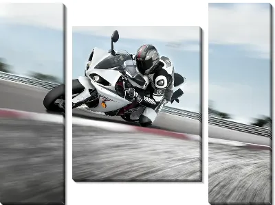 Модульная картина Мотоциклист (Motorcyclist) №4