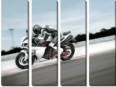 Модульная картина Мотоциклист (Motorcyclist) №5