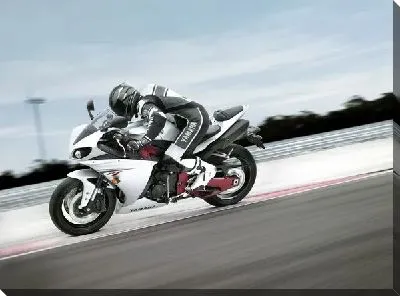 Постер Мотоциклист (Motorcyclist) №5