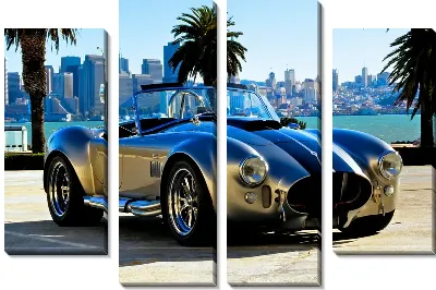 Модульная картина Шелби кобра (Shelby cobra)