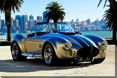 Шелби кобра (Shelby cobra)