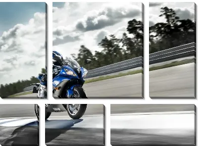 Модульная картина Мотоциклист (Motorcyclist) №6