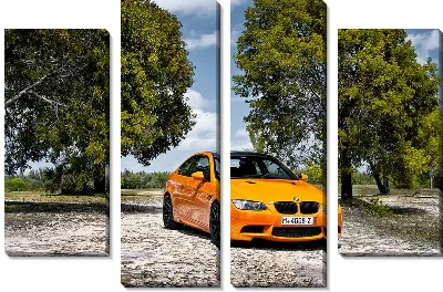 Модульная картина БМВ (BMW) №7
