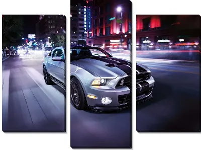 Мустанг (Mustang) №2