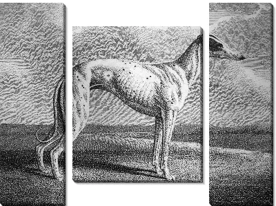 Модульная картина Собака (Dog) №14