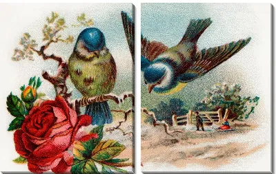 Модульная картина Птицы (Birds) №31