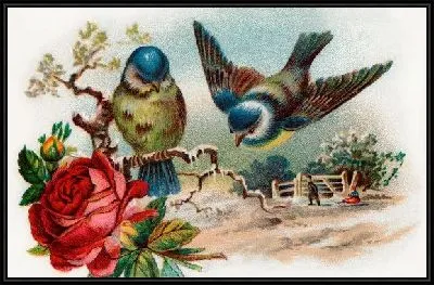 Картина Птицы (Birds) №31