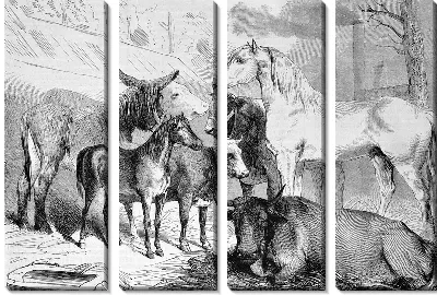 Модульная картина Домашний скот (Livestock)