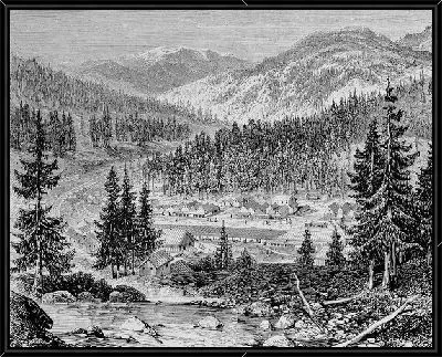 Картина Лес (Forest) №50