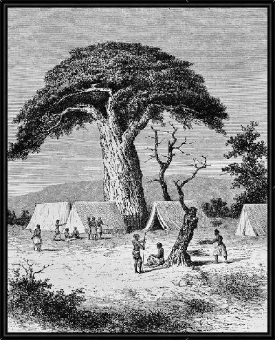 Картина Племя Африки (African tribe)
