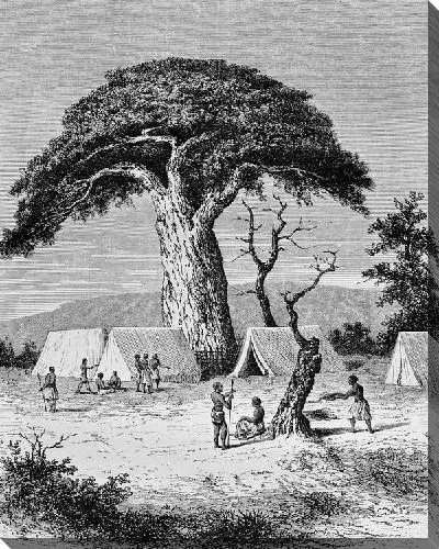 Постер Племя Африки (African tribe)