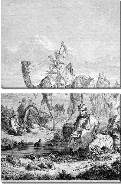 Модульная картина Верблюды (Camels)