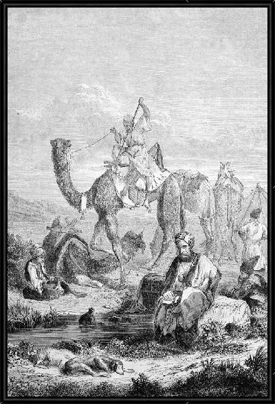 Картина Верблюды (Camels)