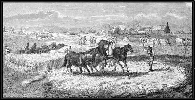Картина Кони (Horses)