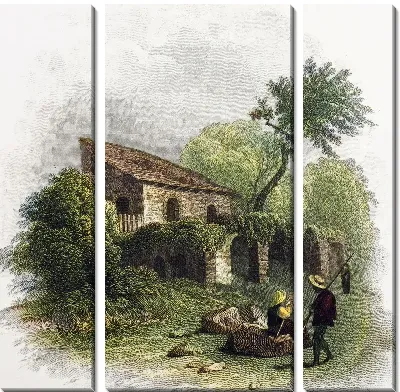 Модульная картина Сельская местность (Countryside)