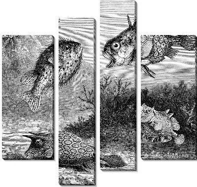 Модульная картина Рыбы (Fishes) №6