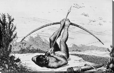 Стрельба из лука (Archery) №2