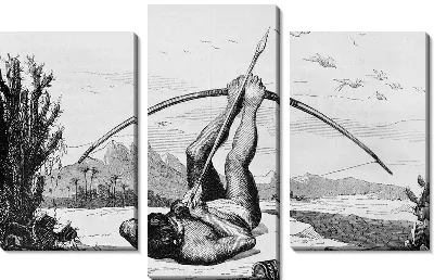 Стрельба из лука (Archery) №2