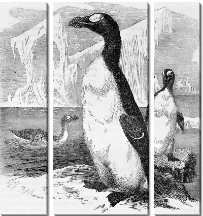 Пингвины (Penguins) №4