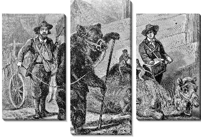 Модульная картина Цирковые звери (Circus animals)