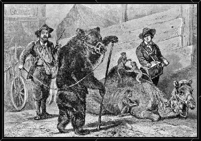 Картина Цирковые звери (Circus animals)