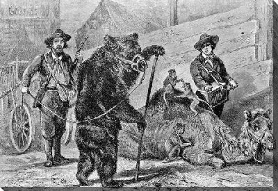 Постер Цирковые звери (Circus animals)