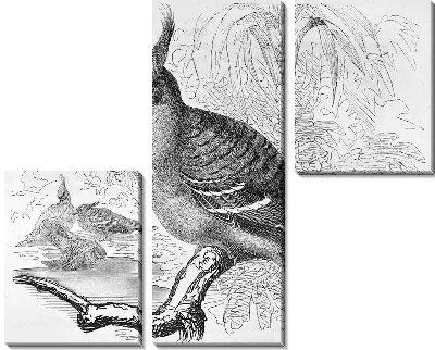 Модульная картина Птица на ветке (Bird on a branch) №3