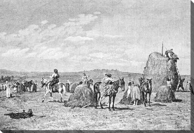 Постер Уборка сена (Hay)