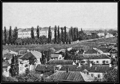 Картина Вид на крыши (A view of the roof)
