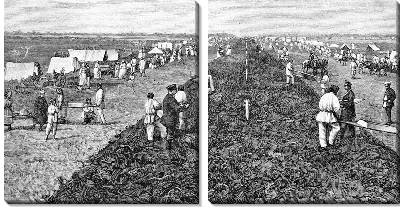 Модульная картина В поле (In field) №2