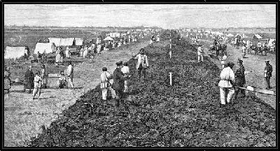 Картина В поле (In field) №2