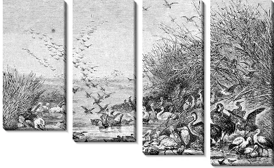 Модульная картина Птицы (Birds) №33